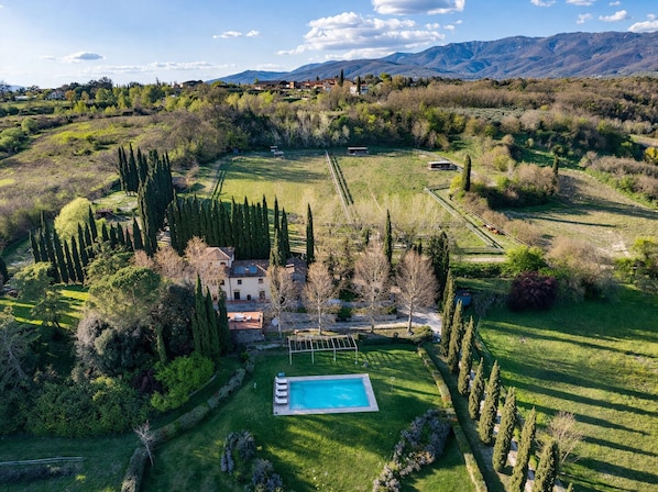 Un vaste domaine doté d’une piscine, d’une pelouse parfaitement entretenue et de diverses espèces d’arbres.