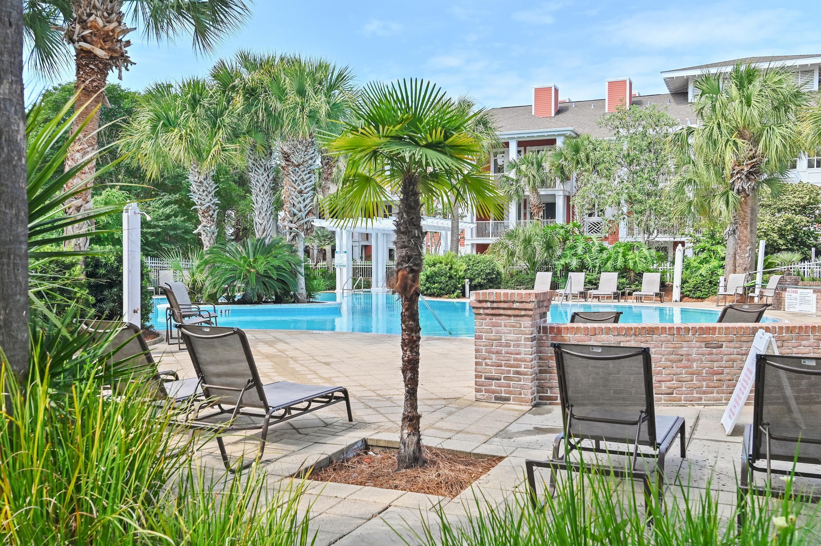 A poolside area with lounge chairs, a palm tree, and a brick wall.