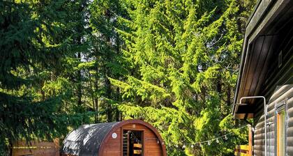 70s summer house with sauna and cold plunge