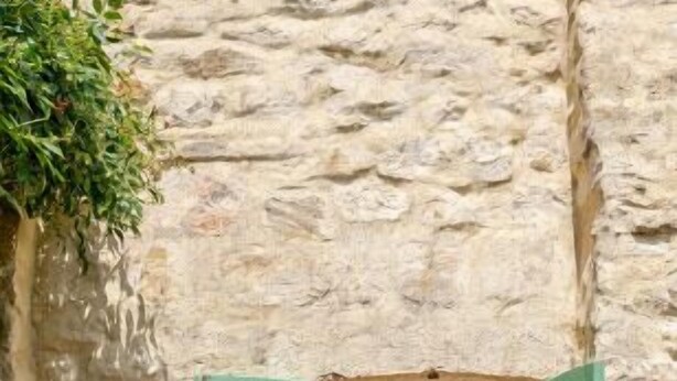 Un edificio de piedra con una pequeña entrada, contraventanas verdes y plantas en macetas.