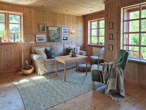 Fernseher, Kamin
