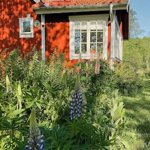 Ein rotes Haus mit weißem Fenster und einer weißen Tür, umgeben von üppigem Grün und blühenden Pflanzen.