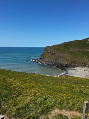 A coastal landscape with a grassy foreground, a rocky cliff, and the sea.