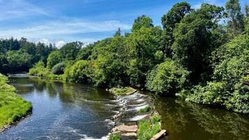 A river flowing through a forested area with a clear sky.