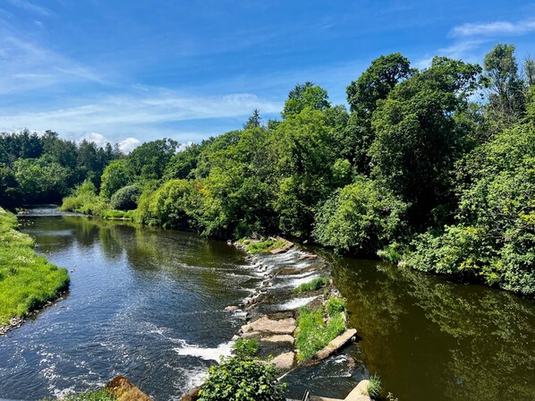 Un río que atraviesa una zona boscosa con cielo despejado.