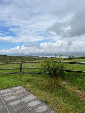 A rural landscape with a wooden fence, a small bush, and a paved path.