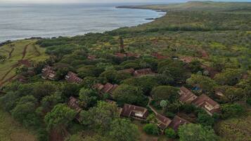 An aerial view of a residential area with houses surrounded by dense vegetation and a coastline.