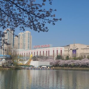 Apartment, City View (non-Korean nationals only) | Point of interest - Stay Solar (Seoul)