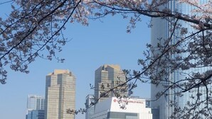 A cityscape with modern skyscrapers and a lake with cherry blossoms in the foreground.