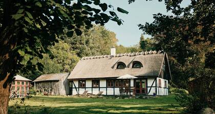 Peaceful forest idyll in timber house for families