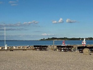 A pebble beach with a rocky shoreline, a lifebuoy, and a sailboat.