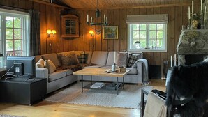 TV, fireplace - Cabin with Rauland mountain views (Rauland)