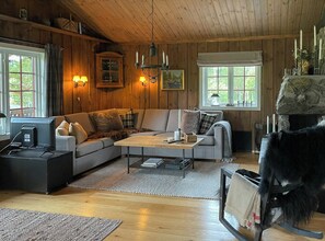 Fernseher, Kamin