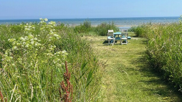A grassy area with a table and chairs facing the ocean. - House in peaceful surroundings 150 m to the water (Asperup)