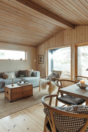 Fernseher, Kamin