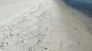 Ein Strand mit weißem Sand und klarem, blauem Wasser.