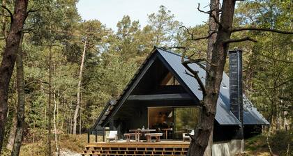 Elegant designed A-frame house on Bornholm