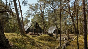 Ein bewaldetes Gebiet mit einer Hütte, die ein geneigtes Dach und eine Terrasse hat.