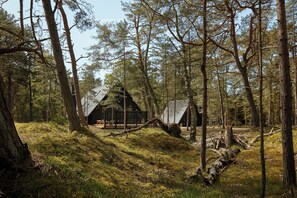 Ein bewaldetes Gebiet mit einer Hütte, die ein geneigtes Dach und eine Terrasse hat.