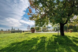Ein Park mit einem großen Baum, Rasen und einer Schaukel.
