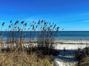 Ein Strand mit hohem Gras im Vordergrund und blauem, wolkenlosem Himmel.