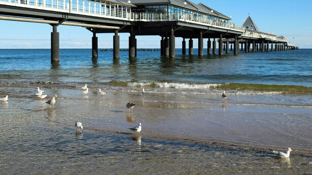 Un muelle que se adentra en el agua, con un edificio sobre él y aves en la orilla.