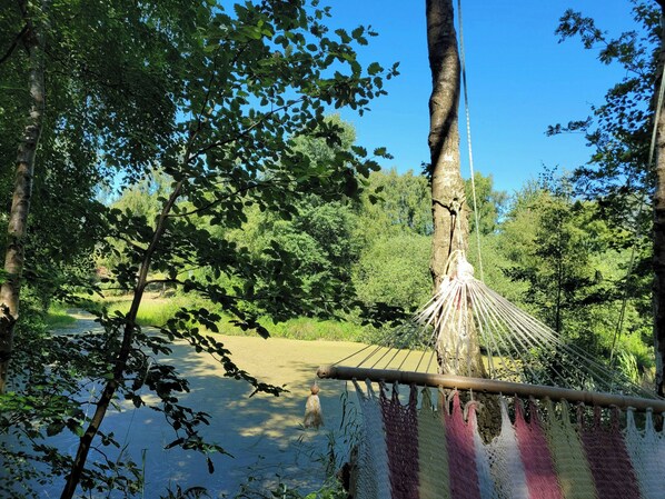 Uma rede amarrada a uma árvore em um ambiente natural com vegetação e céu azul.