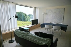 Fernseher, Kamin