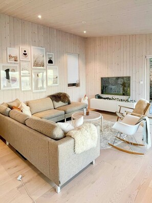 Fernseher, Kamin