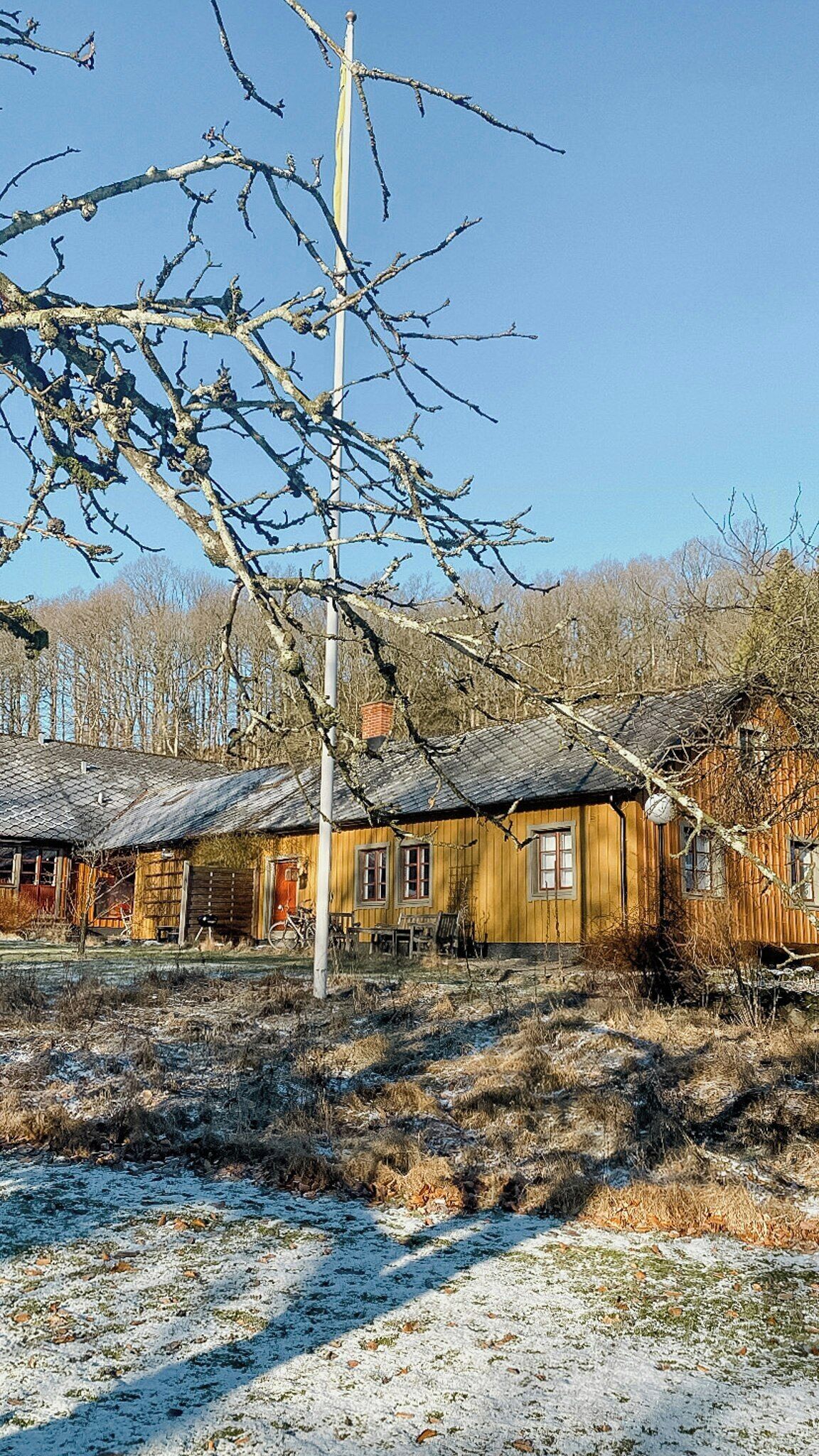 Ett rustikt trähus med ett tak av metall, omgivet av kala träd och en snötäckt mark.