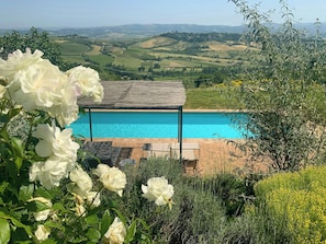 Ein Pool mit Blick auf sanfte Hügel, umgeben von Grün und weißen Blumen.