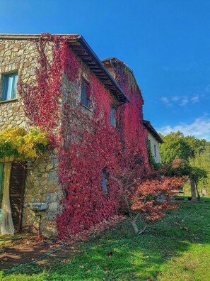Ein Steinhaus mit roten Efeu-Bewuchs an den Wänden, ein Fenster und eine Tür.