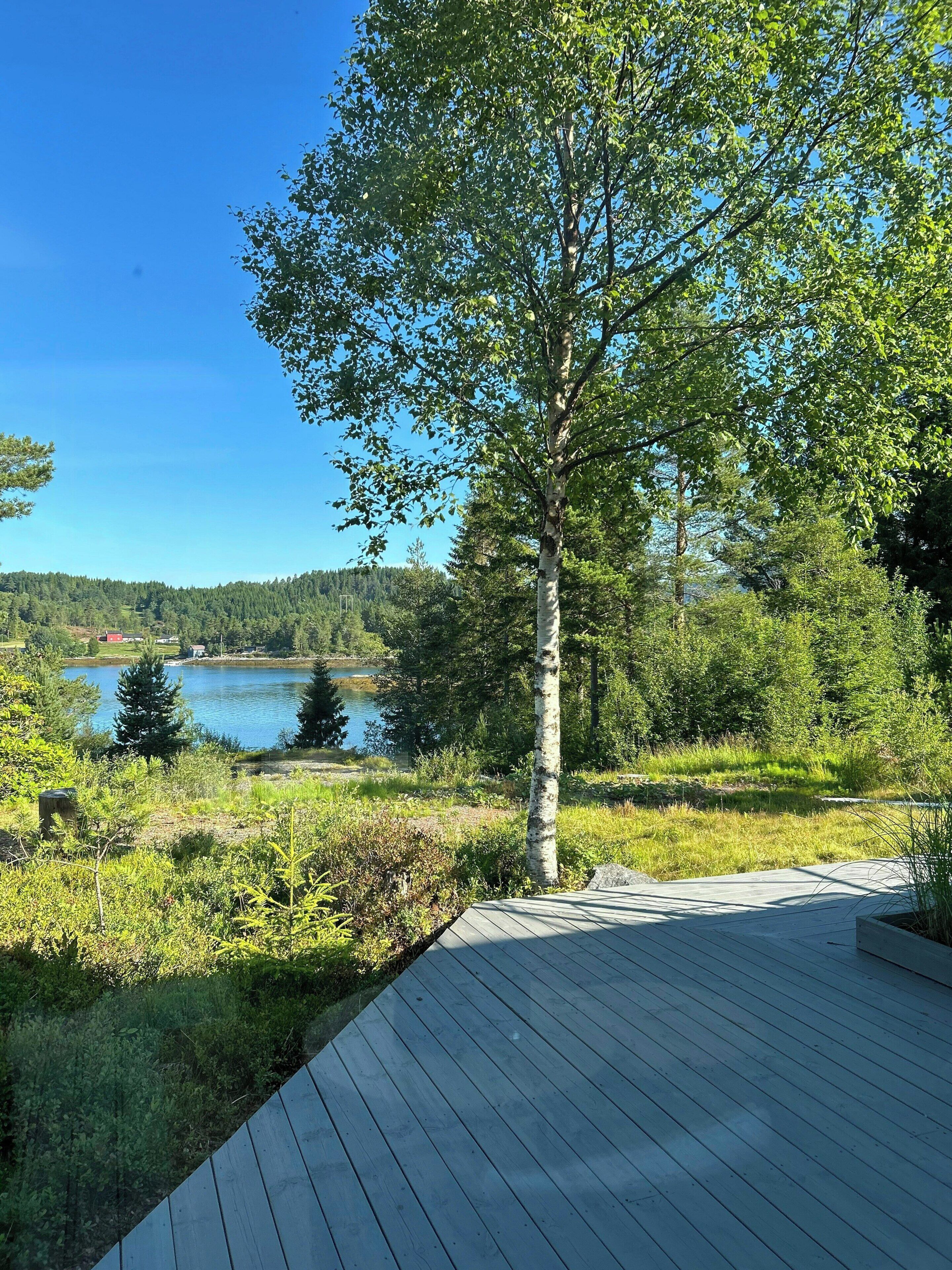 Overnattingsstedets uteområder