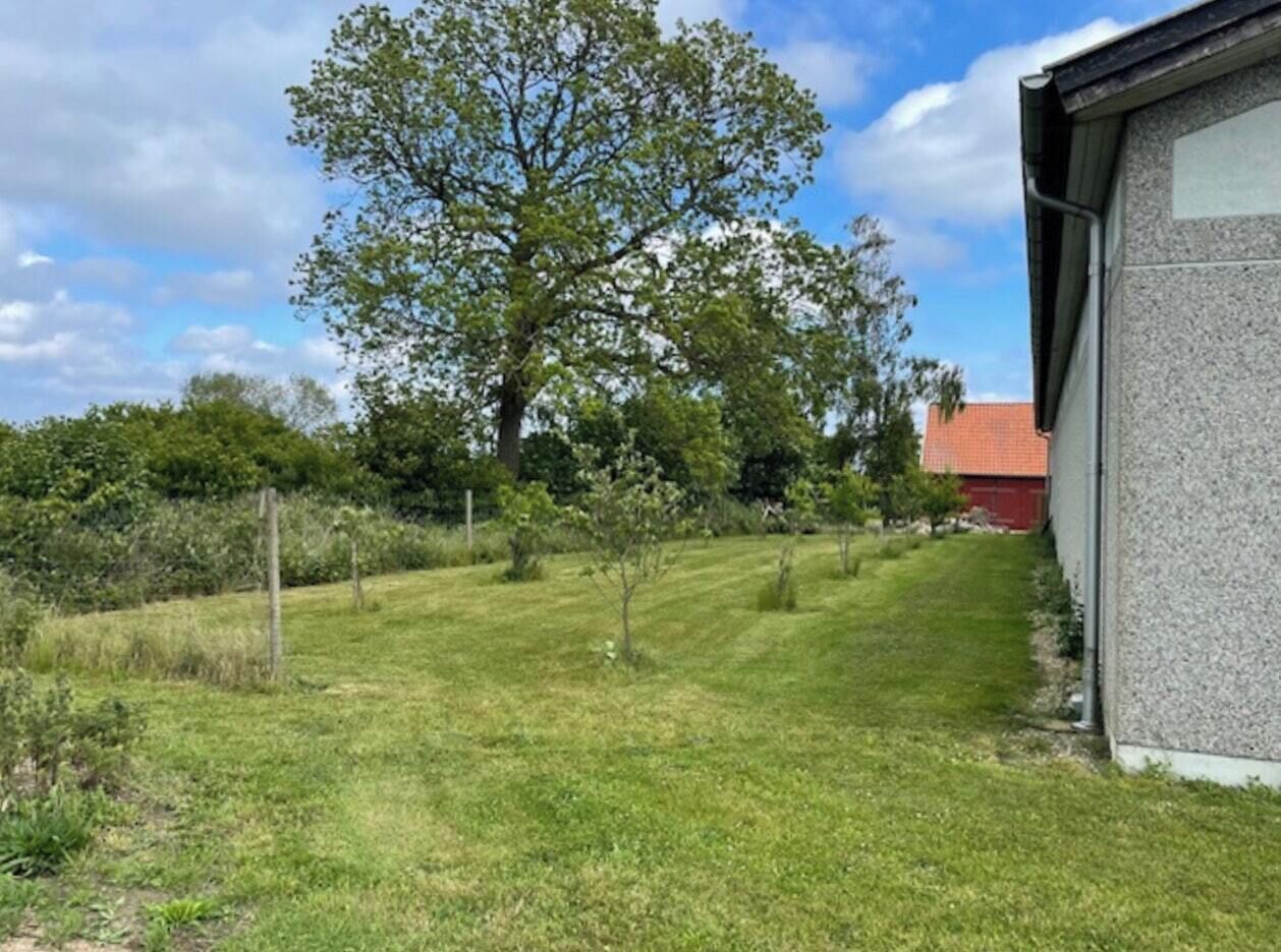 Un prato verdeggiante con un grande albero, un edificio rosso e un muro grigio.