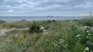 A coastal landscape with a picnic table, grassy dunes, and a ship in the distance.