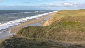 Paisatge costaner amb una platja, dunes herboses i cel serè.