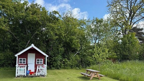 Una baita di legno rossa con veranda e tavolo da picnic in un prato.