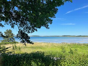 Eine natürliche Landschaft mit Wasserflächen, Bäumen und grünen Wiesen.