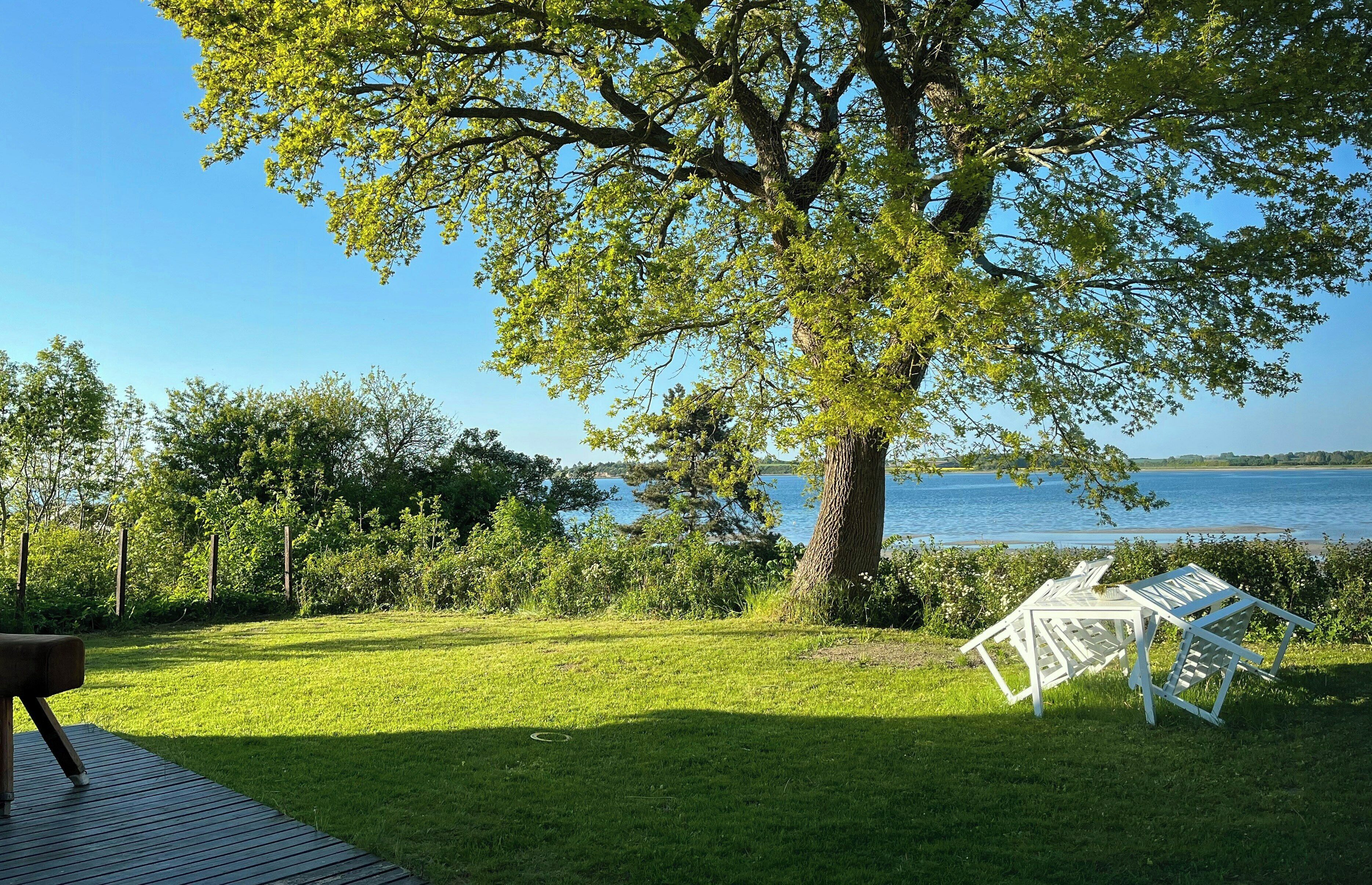 Une zone herbeuse avec un grand arbre et une vue sur une étendue d’eau.