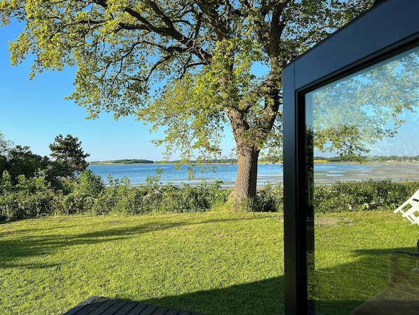 Blick aus einem Fenster auf eine Wiese mit einem großen Baum und einem Gewässer.
