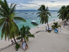 A beach with palm trees, a sandy shore, and boats in the water.
