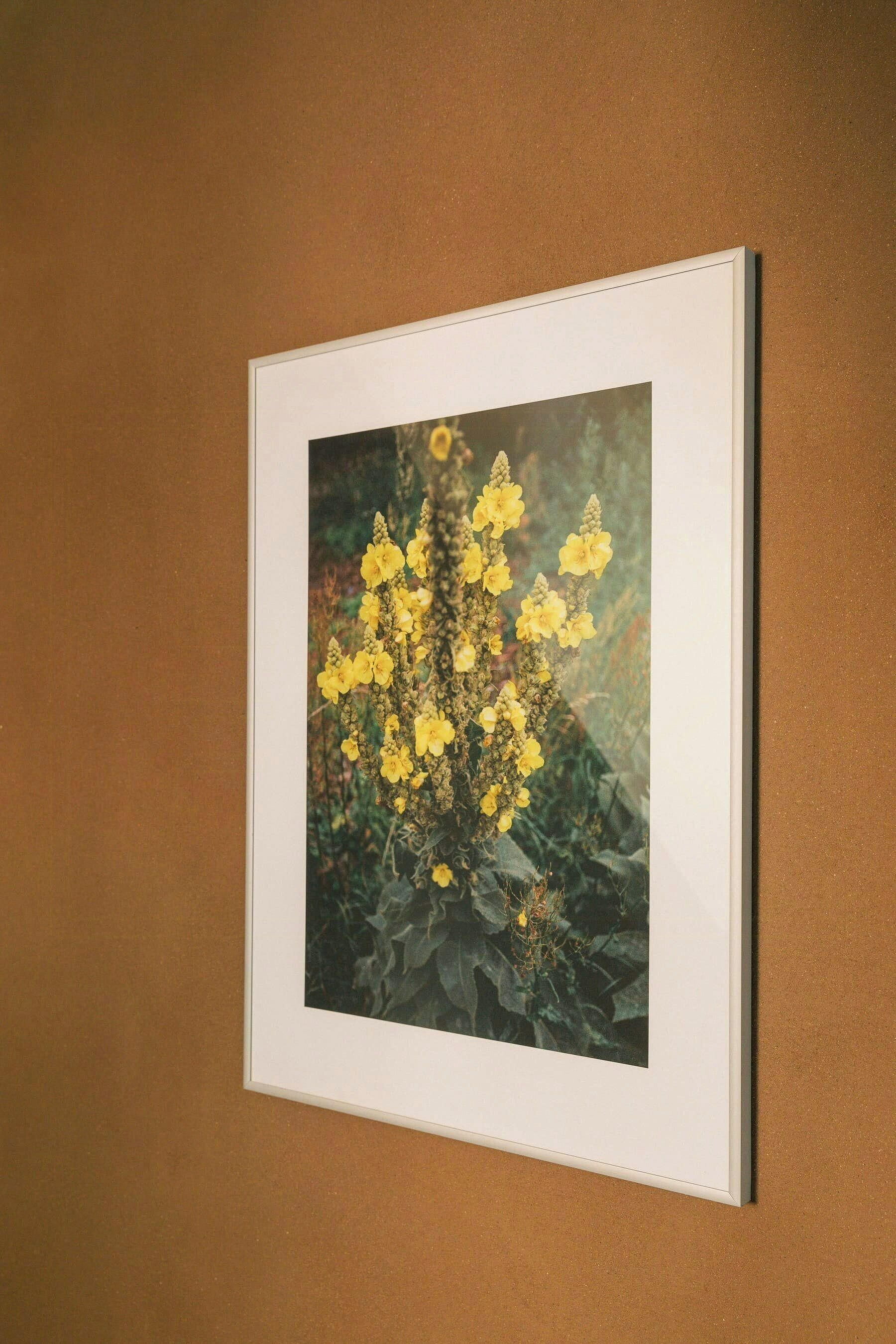 Ein gerahmtes Bild von gelben Blumen an einer braunen Wand.