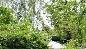 A garden with various plants and flowers, a tree, and a building with a white roof. - Inspiring holiday home on the Havel (Werder (Havel))