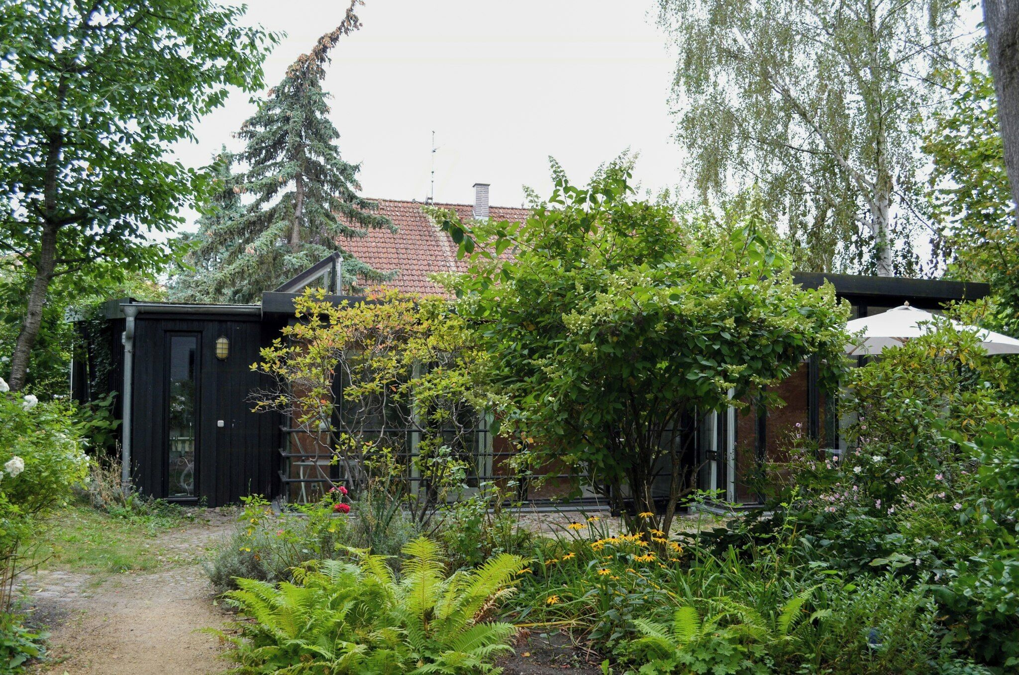 A garden with a path leading to a building with a black door, surrounded by various plants and trees.
