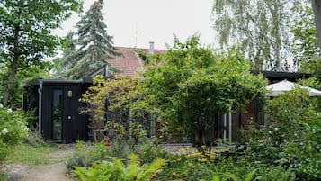 A garden with a path leading to a building with a black door, surrounded by various plants and trees.