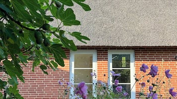 Detalle exterior