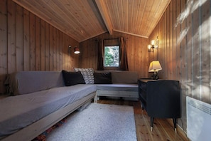 TV, fireplace - Cozy private holiday home on Lifjell (Bø)