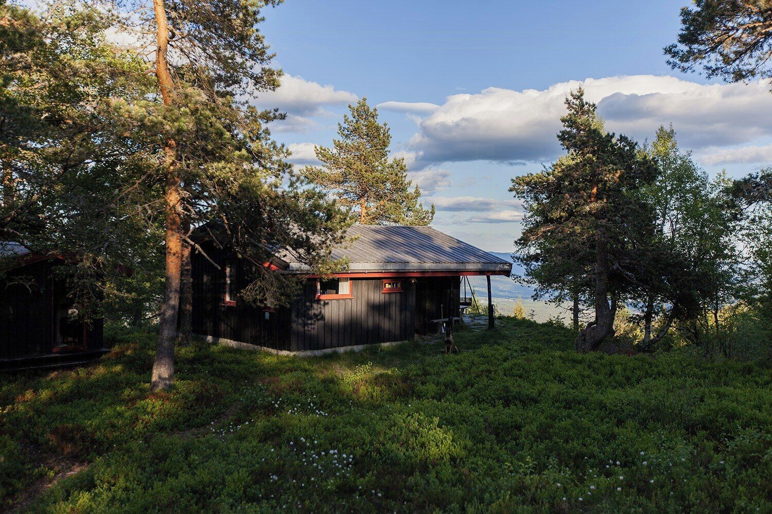 Eksteriør