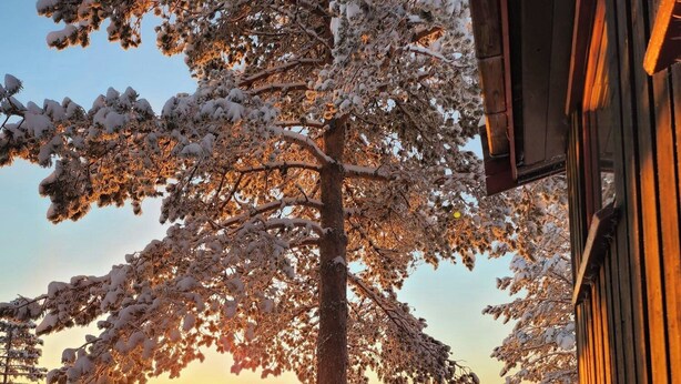 A snow-covered landscape with a sunset, a wooden cabin, and a clear sky. - Cozy private holiday home on Lifjell (Bø)