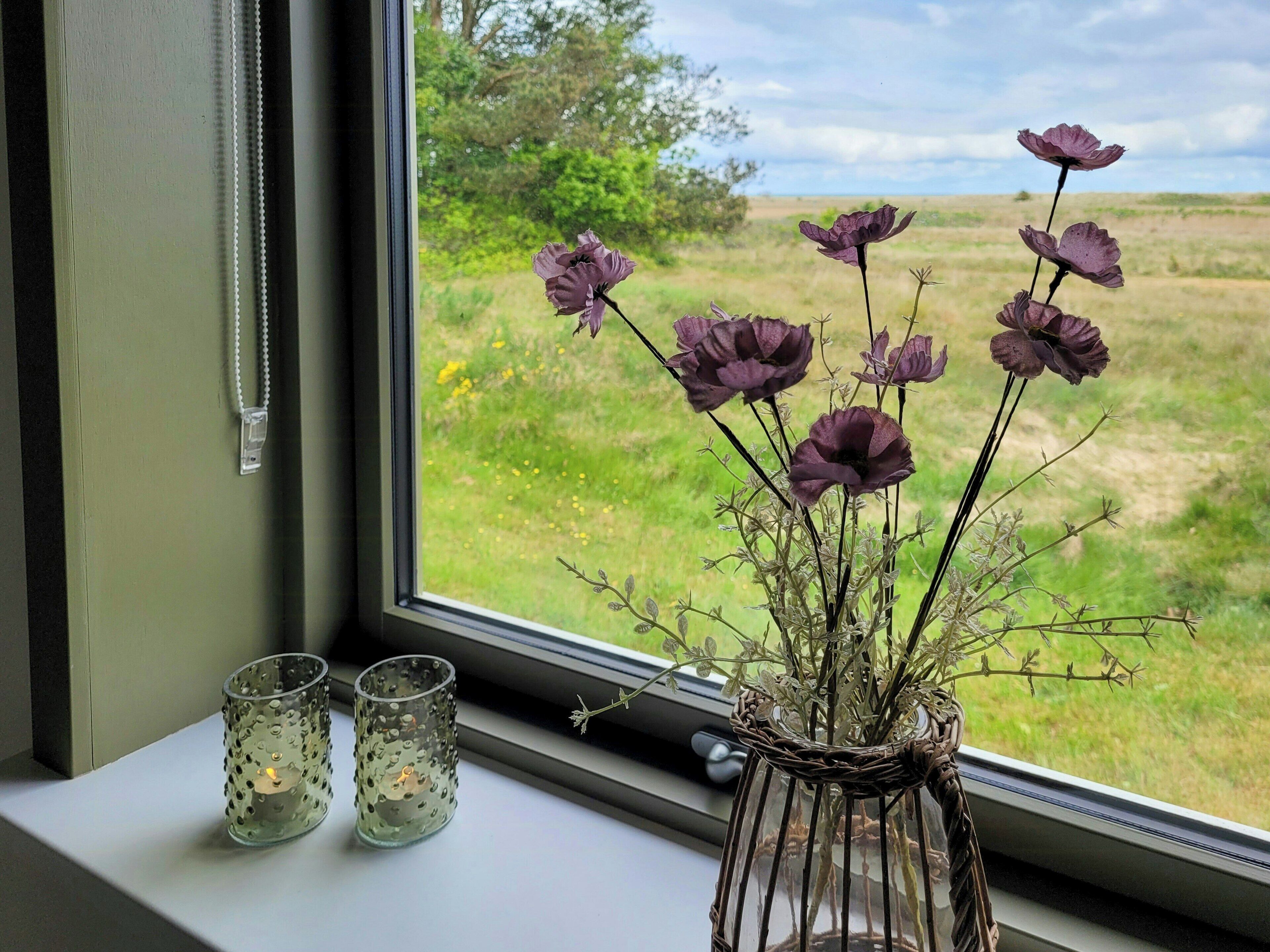 A window with a view of a field and a vase with purple flowers on a windowsill.